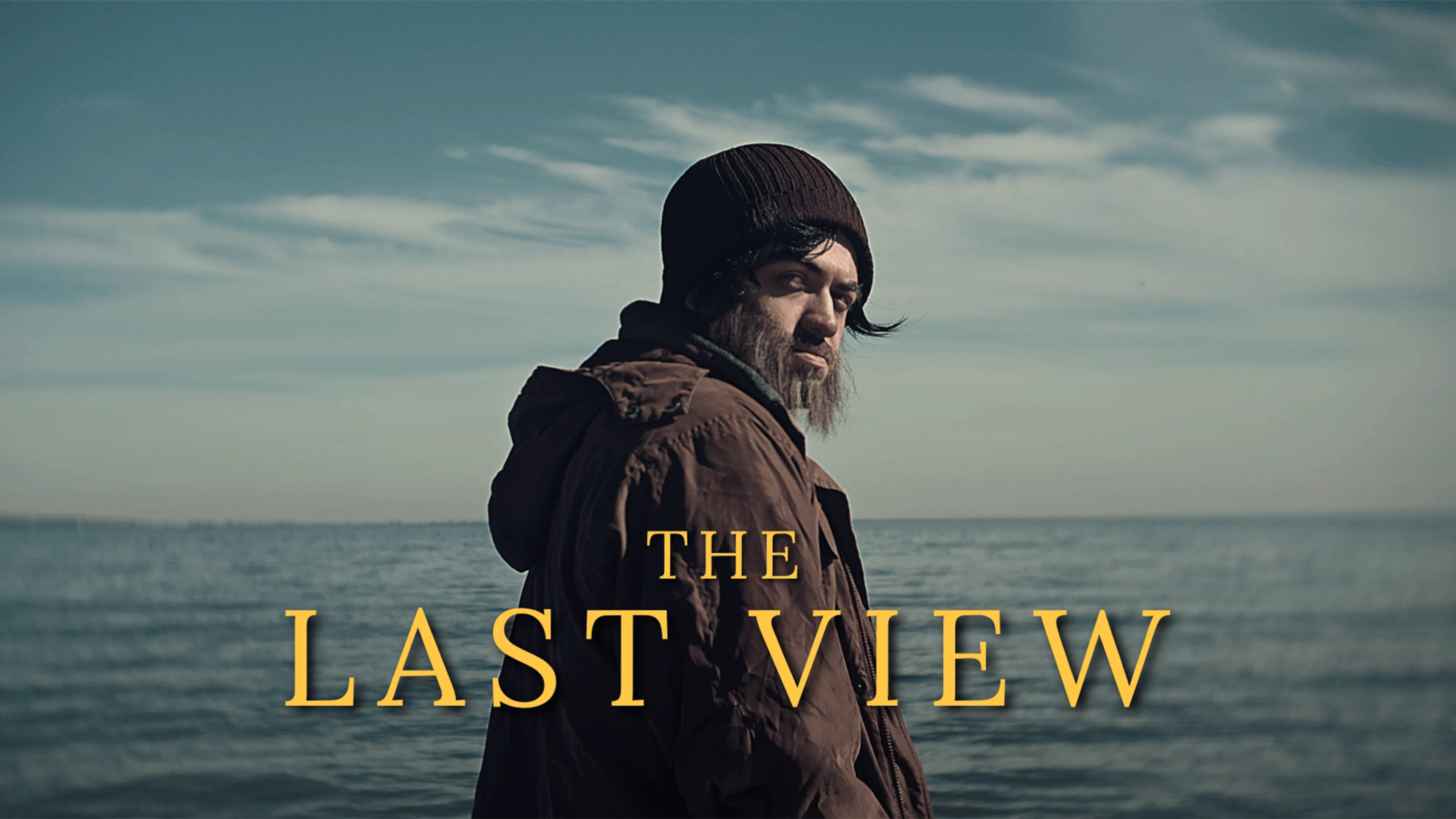 The Last View poster